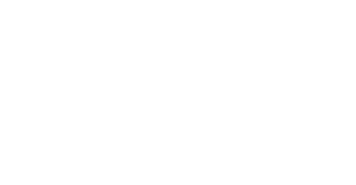 VNPS Roofing Tampa - Logo White Footer