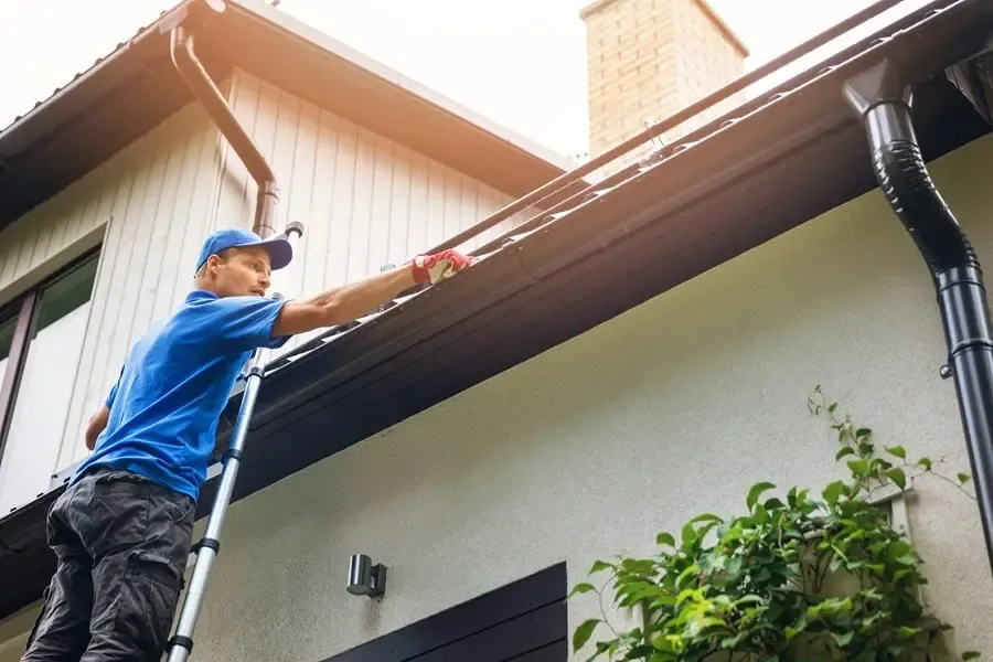 DIY vs. Professional Roof Cleaning