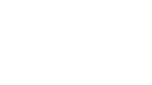 VNPS Roofing Tampa - Logo White Footer