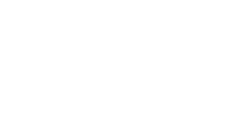 VNPS Roofing Tampa - Logo White Footer